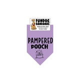 Wholesale Pack - Pampered Pooch - Assorted Colors