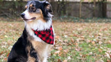 Wholesale Pack - Red Buffalo Check Bandana