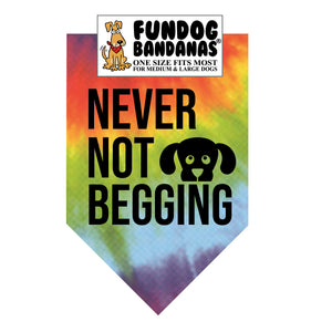 Wholesale Pack - Never Not Begging Bandana